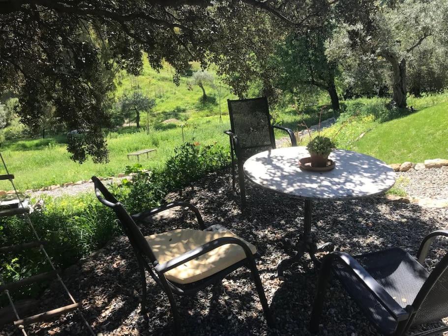 Penthouse Apartment, Cortijo Fruitful Hills マラガ エクステリア 写真