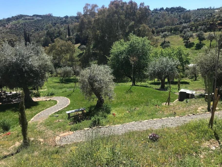 Penthouse Apartment, Cortijo Fruitful Hills マラガ エクステリア 写真