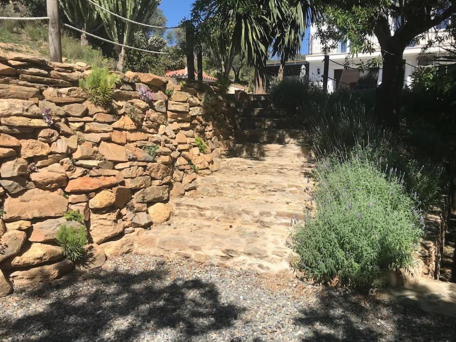 Penthouse Apartment, Cortijo Fruitful Hills マラガ エクステリア 写真