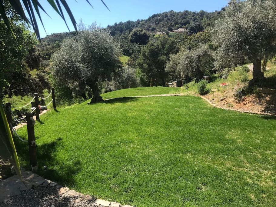 Penthouse Apartment, Cortijo Fruitful Hills マラガ エクステリア 写真