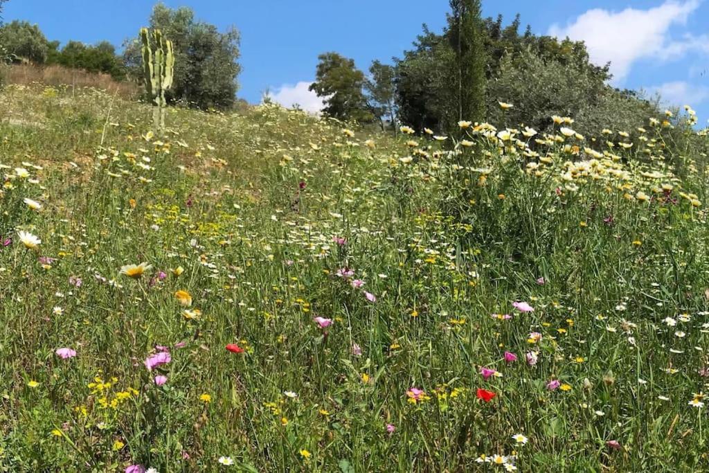 Penthouse Apartment, Cortijo Fruitful Hills マラガ エクステリア 写真