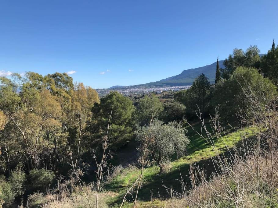 Penthouse Apartment, Cortijo Fruitful Hills マラガ エクステリア 写真
