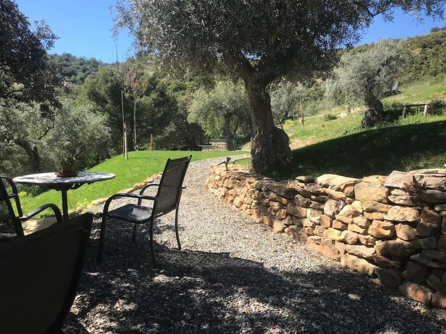Penthouse Apartment, Cortijo Fruitful Hills マラガ エクステリア 写真