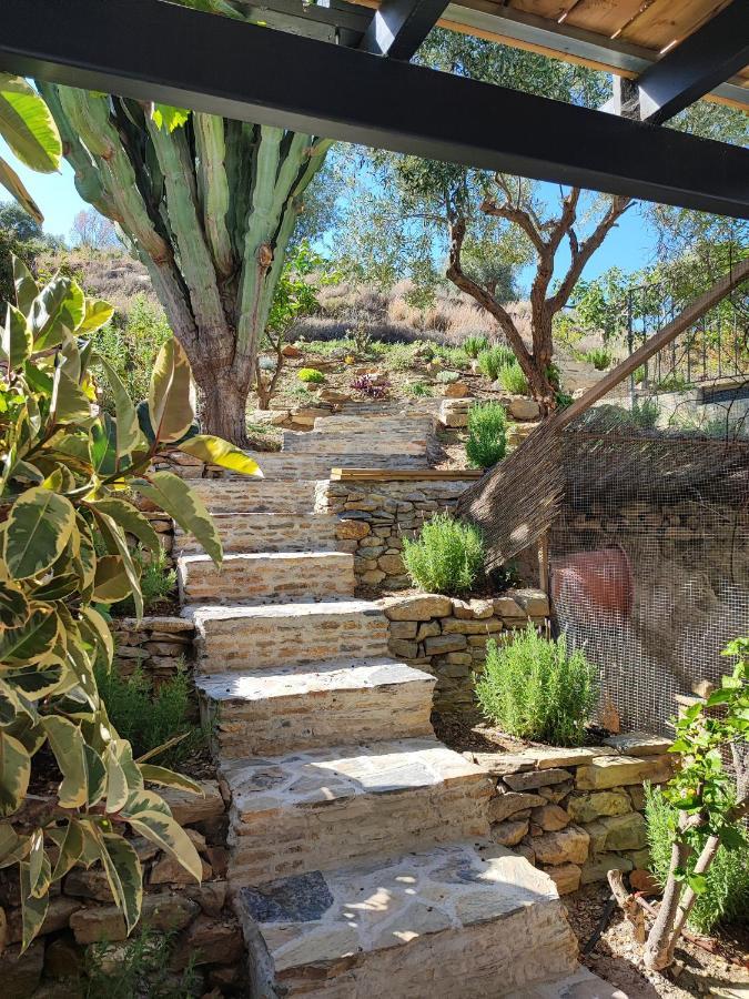 Penthouse Apartment, Cortijo Fruitful Hills マラガ エクステリア 写真