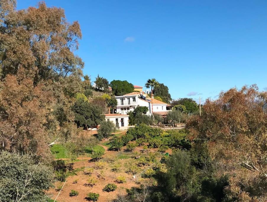 Penthouse Apartment, Cortijo Fruitful Hills マラガ エクステリア 写真